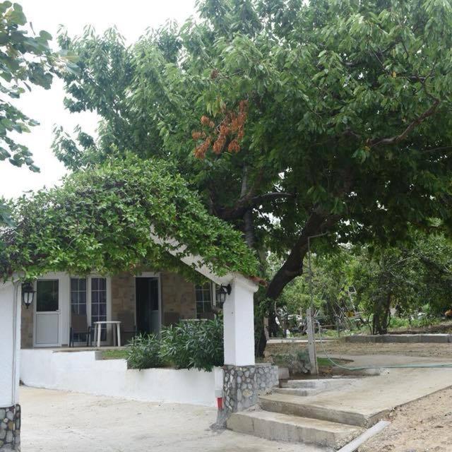 Villa Leonidas Koutsoupia Kókkinon Nerón 외부 사진